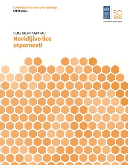 Nacionalni izveštaj o humanom razvoju (NHDR) u Srbiji, Socijalni kapital: nevidljivo lice otpornosti